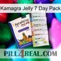 Kamagra Jelly 7 Day Pack 11